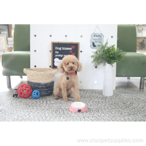 Cute pet feeding bowl ceramic food puppy bowl
